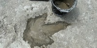 A dinosaur footprint 