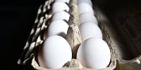 A resurgence of avian flu, which first struck the United States in 2022, is hitting chicken farms hard, sending egg prices soaring and rattling consumers accustomed to buying this dietary staple for only a few dollars. 