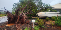 Category five Cyclone Zelia churned into Australia's minerals-rich west coast on February 14, with gusts of 290 kilometres per hour sparking emergency warnings and port closures. 