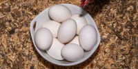 Naeema Fineley's backyard chicken coop in Acworth, Ga., on Sunday, March 9, 2025.