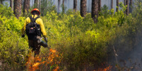 NASA scientists studying a prescribed burn at Fort Stewart, an army base in Georgia, on April 14, 2025.