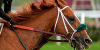 Kentucky Derby.