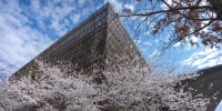 Smithsonian Black Museum Artifacts