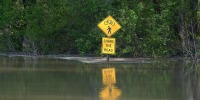 Mississippi River Flood Stage