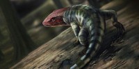Oldest Reptile Footprints