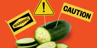Photo illustration of cucumber with warning signs attached to it 
