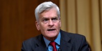 Bill Cassidy