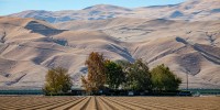 Fallow crop field.