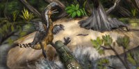 Terror bird study