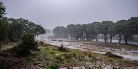 Severe thunderstorms prompt emergency flash flood warnings on the bank of the Guadalupe River.