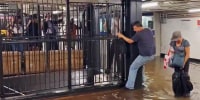 Commuters cling to gates to avoid floodwaters in a New York City subway station