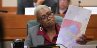 Texas Legislature Redistricting