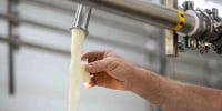 Farmer taking a raw milk sample during Dairy Processing at Brooms Bloom