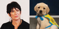 Ghislaine Maxwell; a puppy in a Canine Companions vest