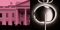 Collage of the White House, macro photo of IVF procedure, a paper cutout of sperm, and a calendar.