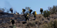 Canyon Fire.