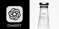 A side by side of the chat GPT logo and a salt shaker