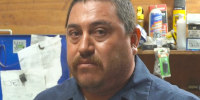 Enrique Garfias