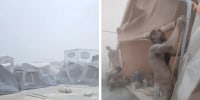Scenes from Burning Man, 2025.