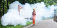 Guangdong Moves Swiftly To Combat Chikungunya