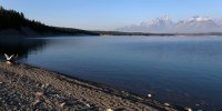 Wyoming-Missing Kayaker Jackson Lake in Grand Teton National Park