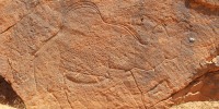 A view of a life-sized, naturalistic camel engraving on sandstone