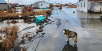 The source, Kathleen Simon, told SNG she filmed them from around her home in Tuntutuliak, located in the Bethel Census Area of western Alaska, on Monday 13th October.