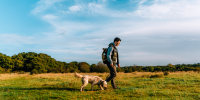 Young Asian man walking in nature with his dog.