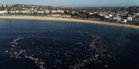 Image: Surfers Paddle Out In Memory Of Bondi Shooting Victims