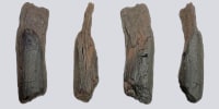 Top: This undated image provided by Katerina Harvati shows a 430,000 year old wooden tool from Greece that was possibly used for digging.
Below: This undated image provided by Katerina Harvati shows various angles of a 430,000 year old wooden tool from Greece. 