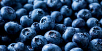 Blueberries, close-up.