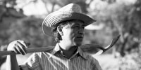 Cesar Chavez works in a community garden in La Paz, Calif., in 1975. 
