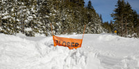 Quebec Braces for Major Winter Storm with Snow, Ice, and High Winds — image 3