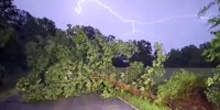 A downed tree during a thunderstorm in Hendersonville, Tenn., near Nashville on April 28, 2026.