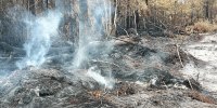 US Wildfires