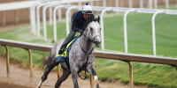 Fulleffort, a horse, runs along a dirt racetrack while a man rides on the back of the horse