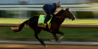 152nd Kentucky Derby - Previews
