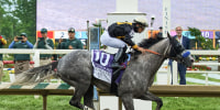 Preakness Horse Racing