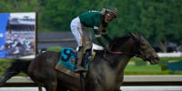 Jockey Jose Ortiz celebrates as he crosses the finish line aboard Golden Tempo to win the 158th running of the Belmont Stakes.