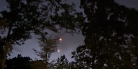 In July 2025, at approximately 2100 local time in the northeastern United States, an eyewitness observed an intense bright light in their backyard as they parked their car upon returning home from work.
