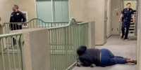 A woman kneels next to her dog after it was shot by a Los Angeles Police Dept. officer on June 13, 2026.