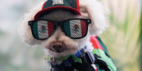 Mexico WCup Soccer Reaction