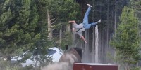 A person is seen flung in the air by a bison outside surrounded by the forest