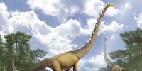 An artist's impression of what the Uragasaurus kalasinensis might have looked like