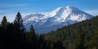 Mount Shasta in the Shasta-Trinity National Forest.