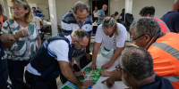 A massive wildfire in France's Gironde department, home to Bordeaux, remained "broadly stable overnight," the local authority said on July 27, 2026.