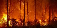 TOPSHOT-FRANCE-ENVIRONMENT-CLIMATE-WEATHER-WILDFIRE