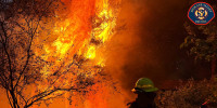 Image: A firefighter facing a large burning wildfire