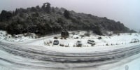 Image: A snowy road with parked cars and trees in the background