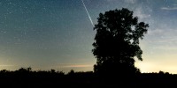 A shooting star from the Perseid meteor shower streaks across the night sky and falls behind the silhouette of a tree  against the backdrop of the Milky Way
